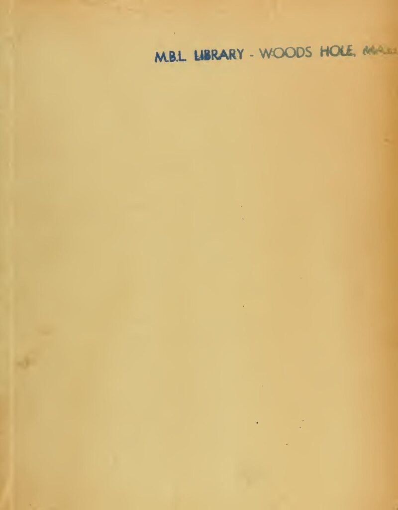 Ligue des nations : Deschamps fait appel à ses mondialistes sauf Mandanda, blessé