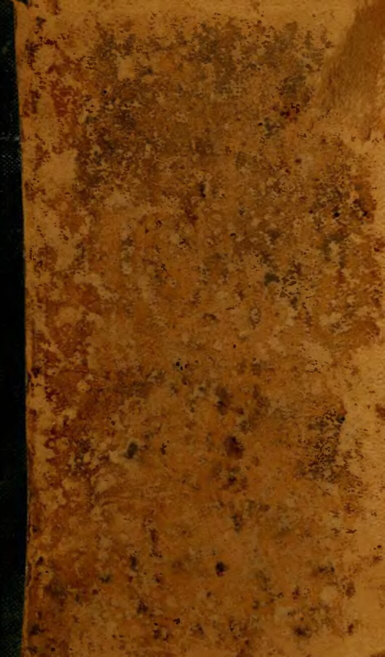 Les gestes que vous devez faire pour aider les animaux en période de grande chaleur