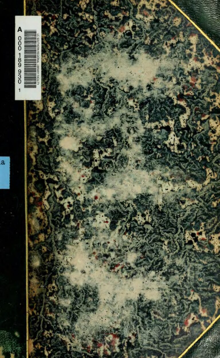 Horoscope du jour, 28 avril 2023 : Lion, Ouvrez l&rsquo;œil en début d&rsquo;après-midi !