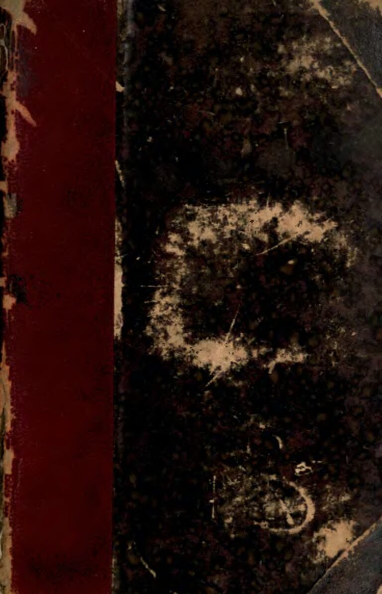 A 13 ans, elle laisse l’école pour travailler sur la célèbre appli Tiktok