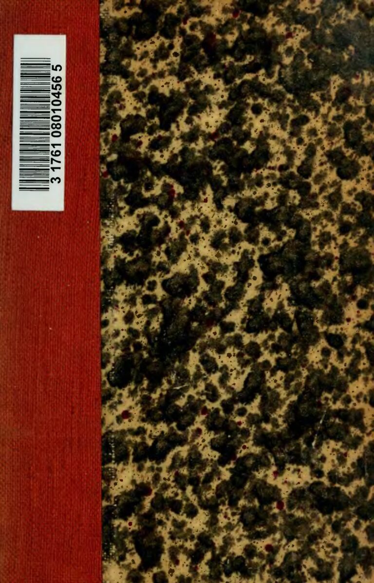 VIDÉO – Après avoir fui les flammes, une famille française bloquée à Rhodes : « on a été oubliés »