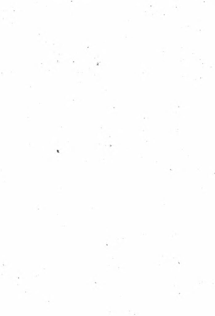 Explorer la personnalité énigmatique de Don : percer les mystères