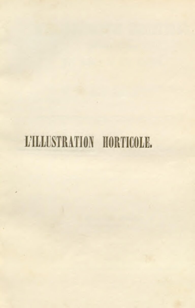 Guide complet pour rédiger un CV pour débutants en français