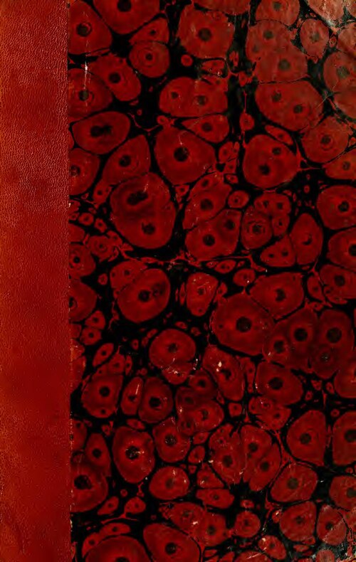 Paris en maîtrise, Rennes impérial, Monaco au fond du trou… Tous les résultats de la 19e journée