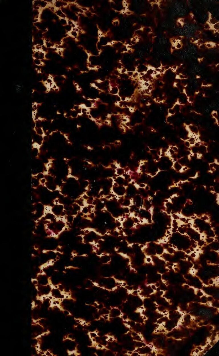 Le guide ultime du référencement naturel en français : Comment booster votre visibilité en ligne