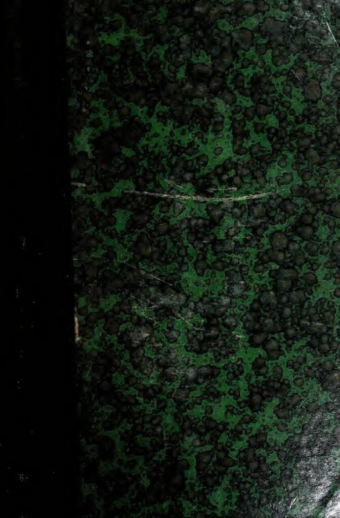 La Russie rassure les pays africains face à l&rsquo;abandon de l&rsquo;accord céréalier avec l&rsquo;Ukraine