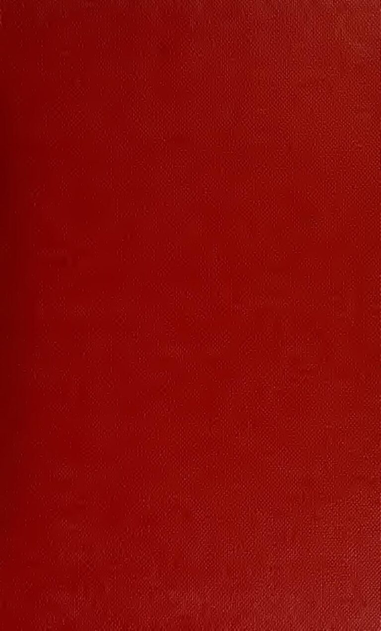 A la découverte des vraies origines du père Noël-VIDEO