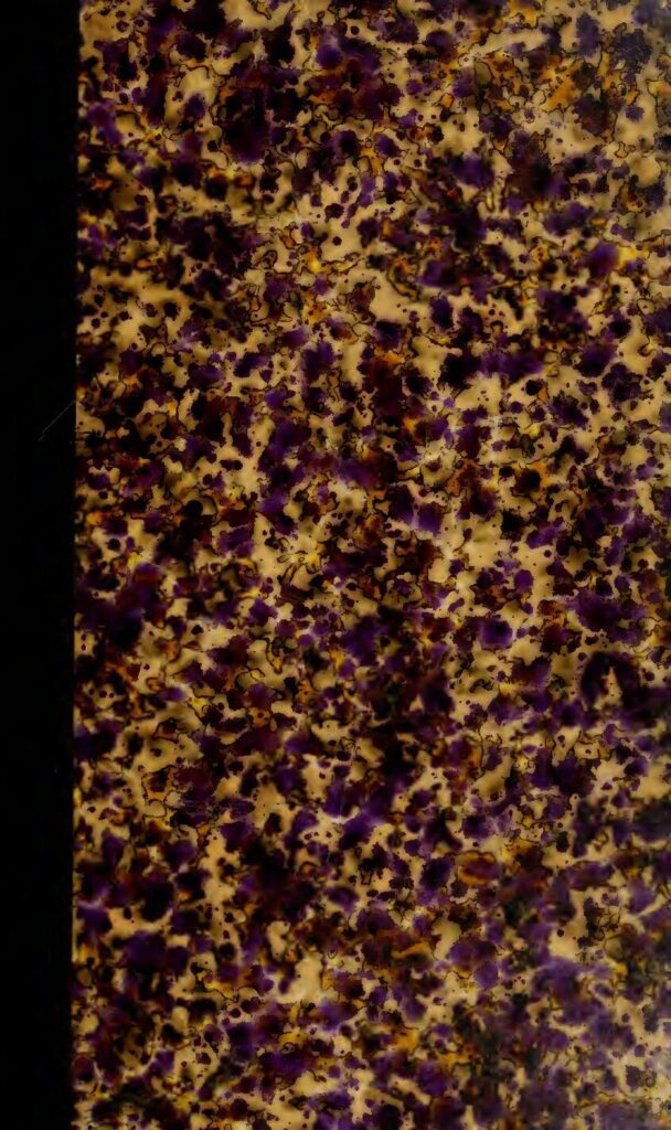 Manchester United: La réponse froide de José Mourinho à Paul Pogba