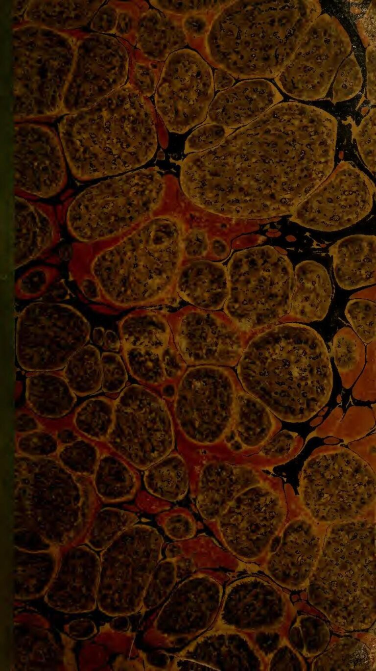 Découvrez Les Nombreux Avantages Du Gaz Naturel Pour Votre Maison