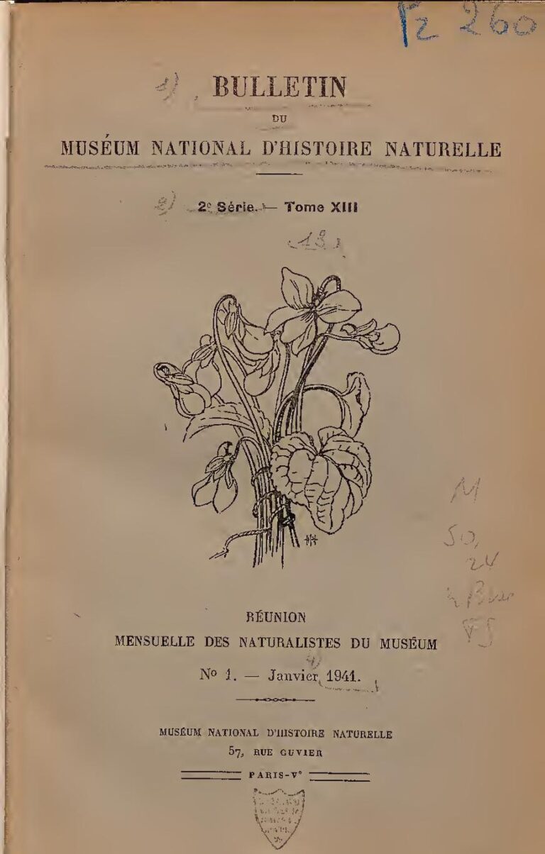 Cameroun: Elle découvre que son époux la trompe avec sa meilleure amie