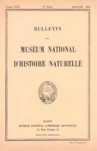 Kenya : Une femme donne naissance à un bébé de 6,3 kilos 0