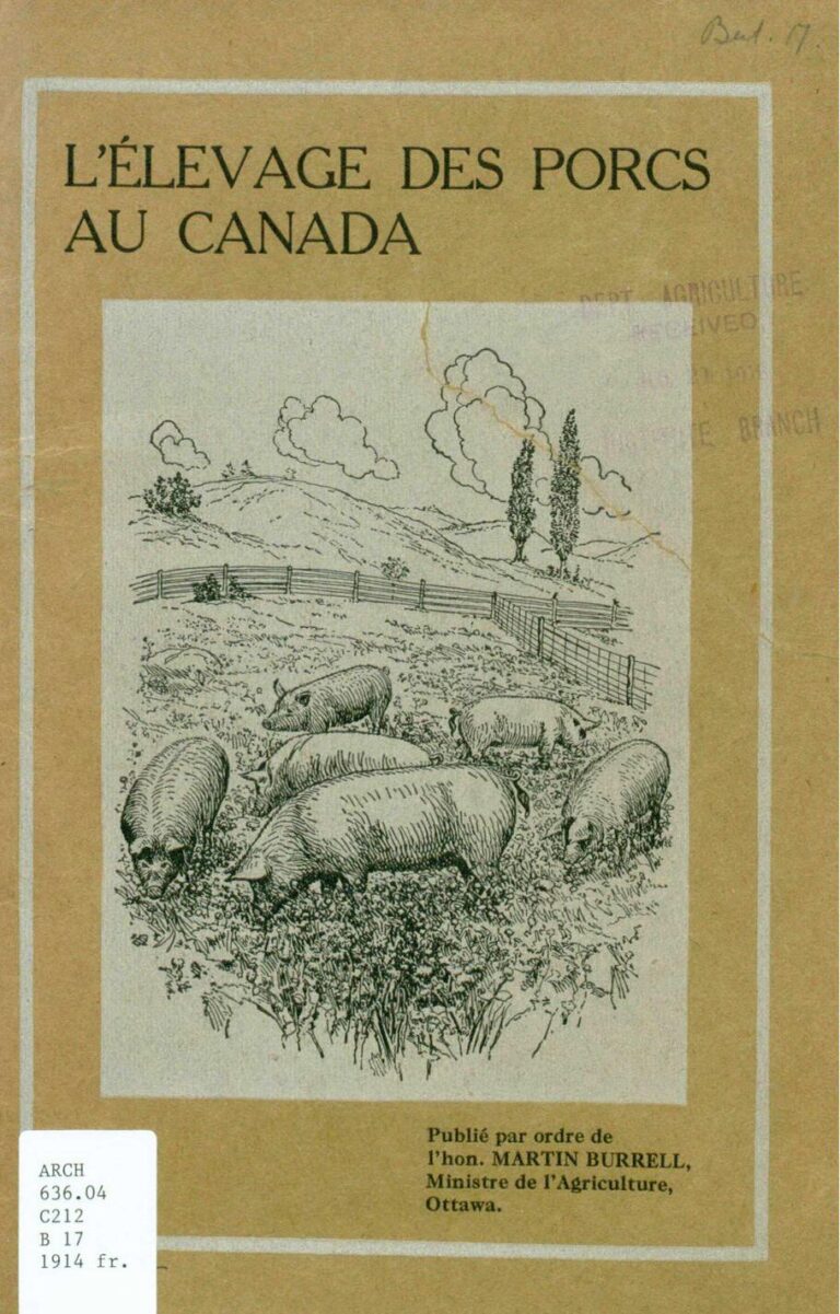 Applications mobiles de votre site  internet ou application web