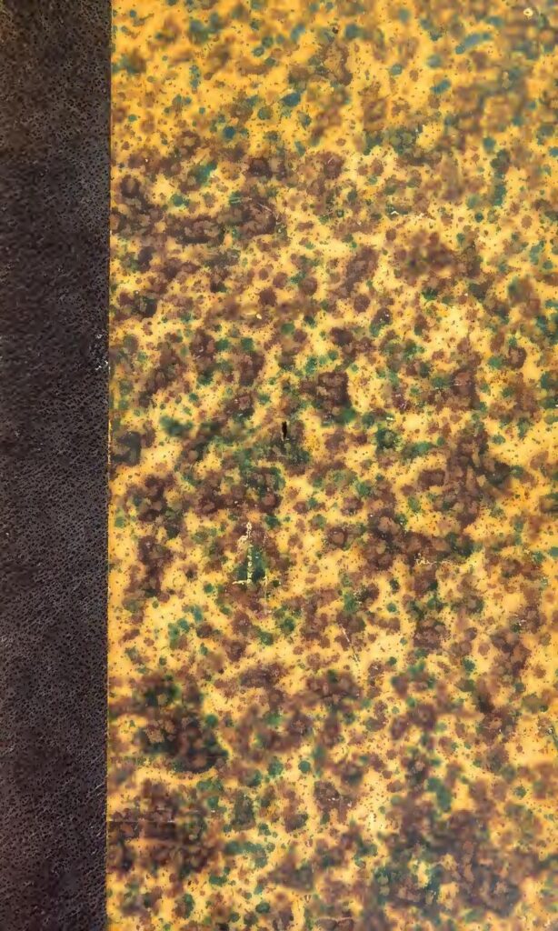 J’ai atteint mon objectif, faire l’am0ur avec 10 000 h0mmes.