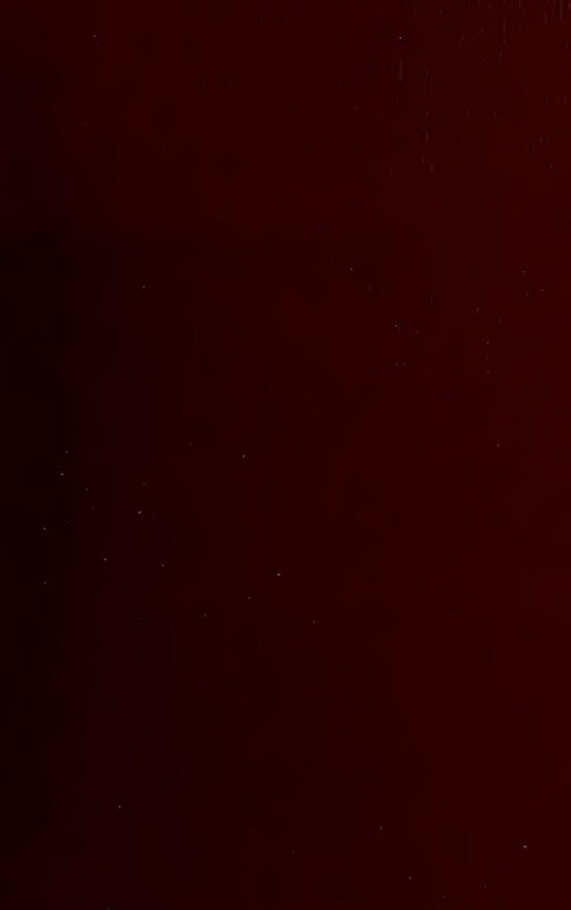 États-Unis : Ce pasteur qui prêche avec un serpent échappe à la mort après avoir été mordu (vidéo)