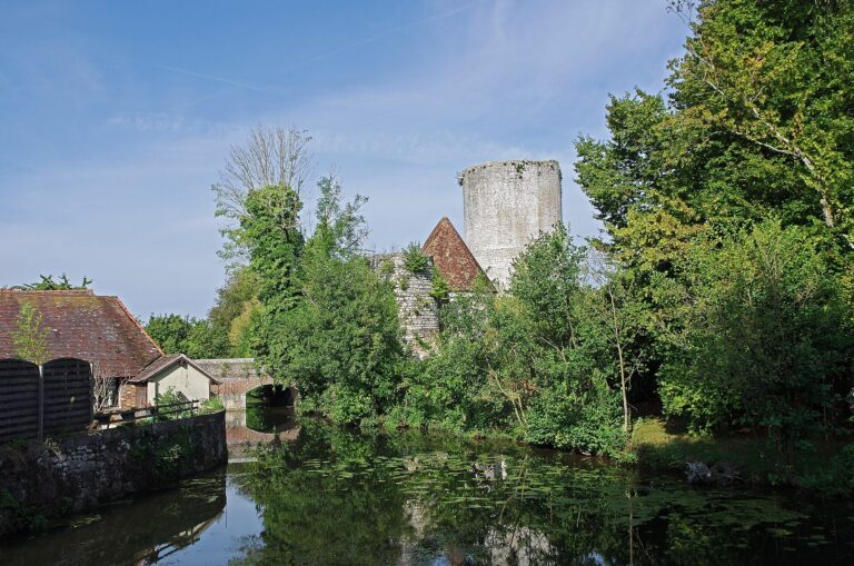 People: 50 cent renie son propre fils sur les réseaux sociaux