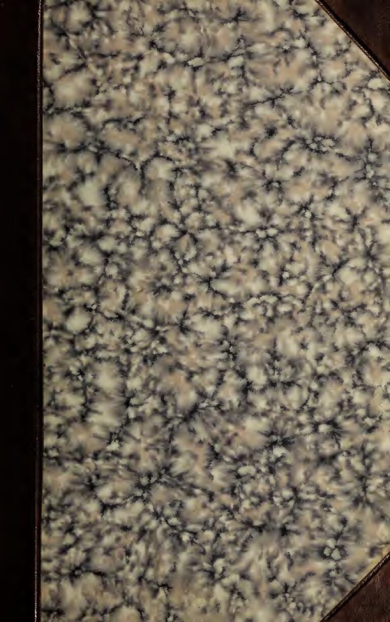 Mo Salah aux anges : Très bonne nouvelle pour l’égyptien