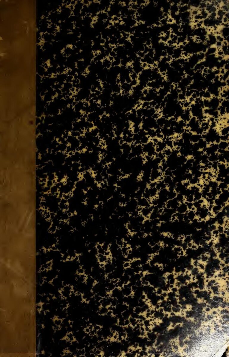 Bourses entièrement financées à l’Université islamique d’Indonésie