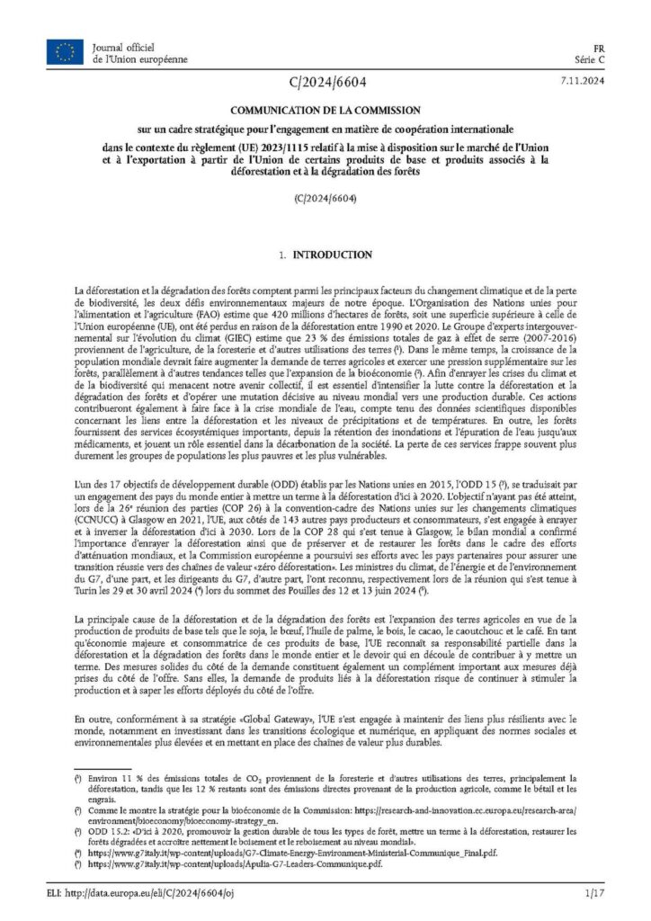 Togo : les informations détaillées du ministre Yark Damehame sur le grave accident de Dapaong