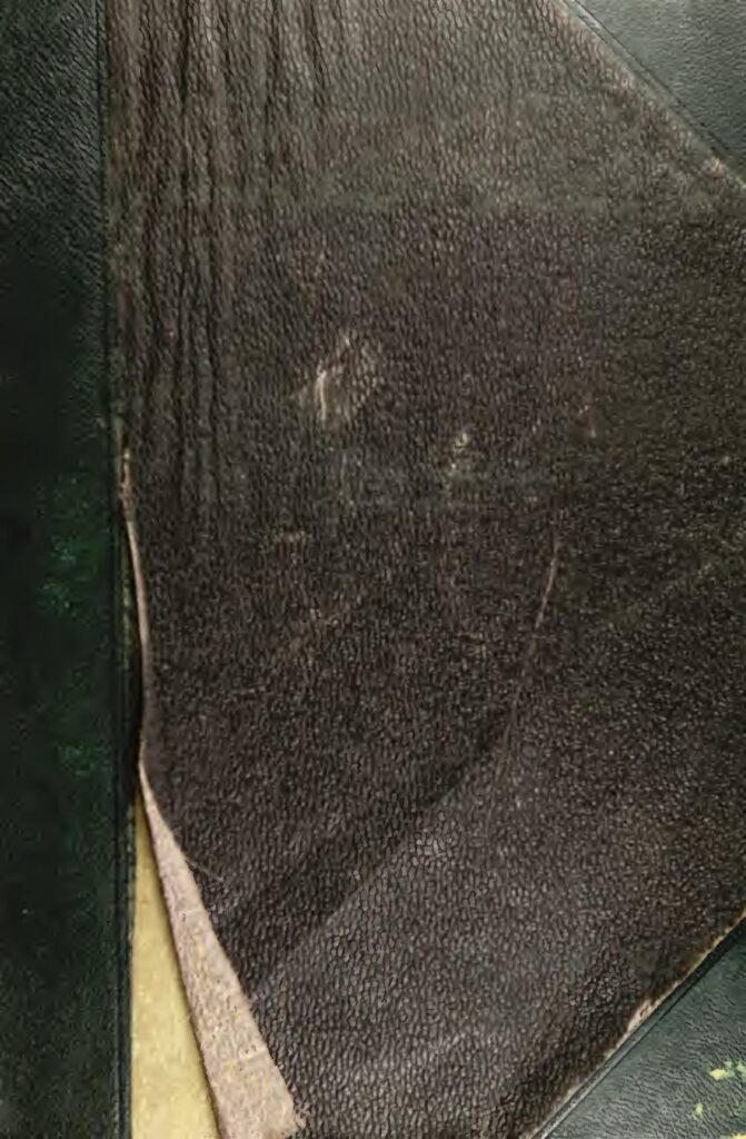 ( 05 Photos ) Le meeting de la fille d’Ismaël Lô se termine en catastrophe, un homme évacué à l’hôpital