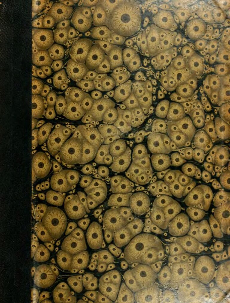 Parents : Ces choses à faire pour faire régner l’harmonie entre vos enfants