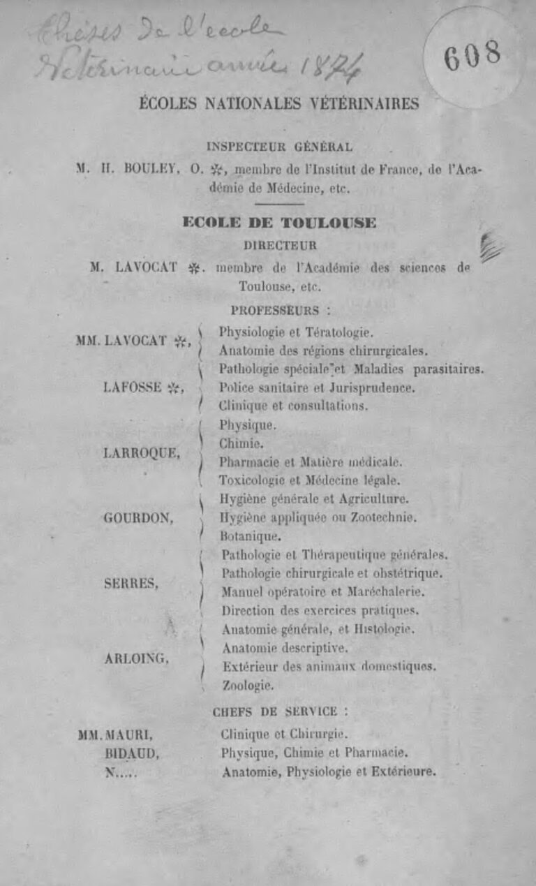 Égypte : tout ce qu’il faut savoir sur les concours d’aujourd’hui
