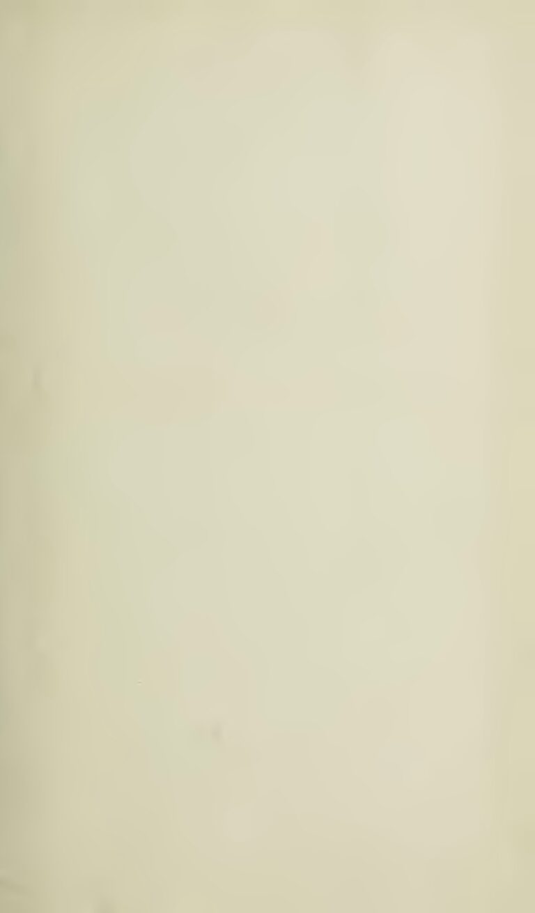 CAN 2019 : mauvaise nouvelle pour la sélection ghanéenne