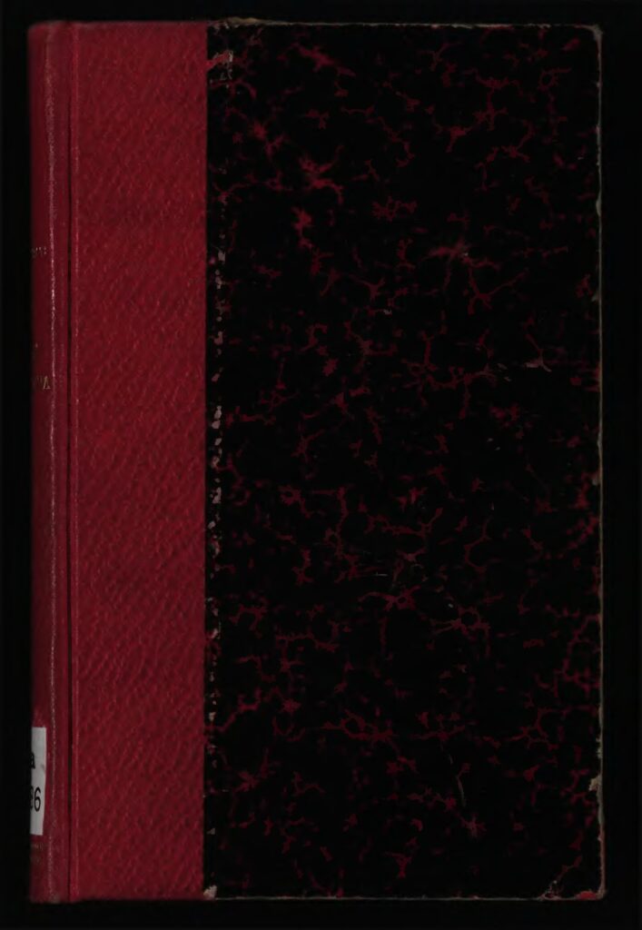 Liban : explosion du port de Beyrouth, 1 an déjà