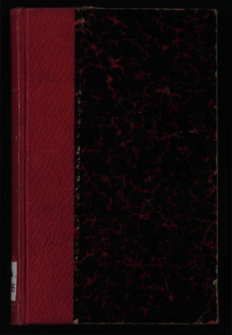 Liban : explosion du port de Beyrouth, 1 an déjà