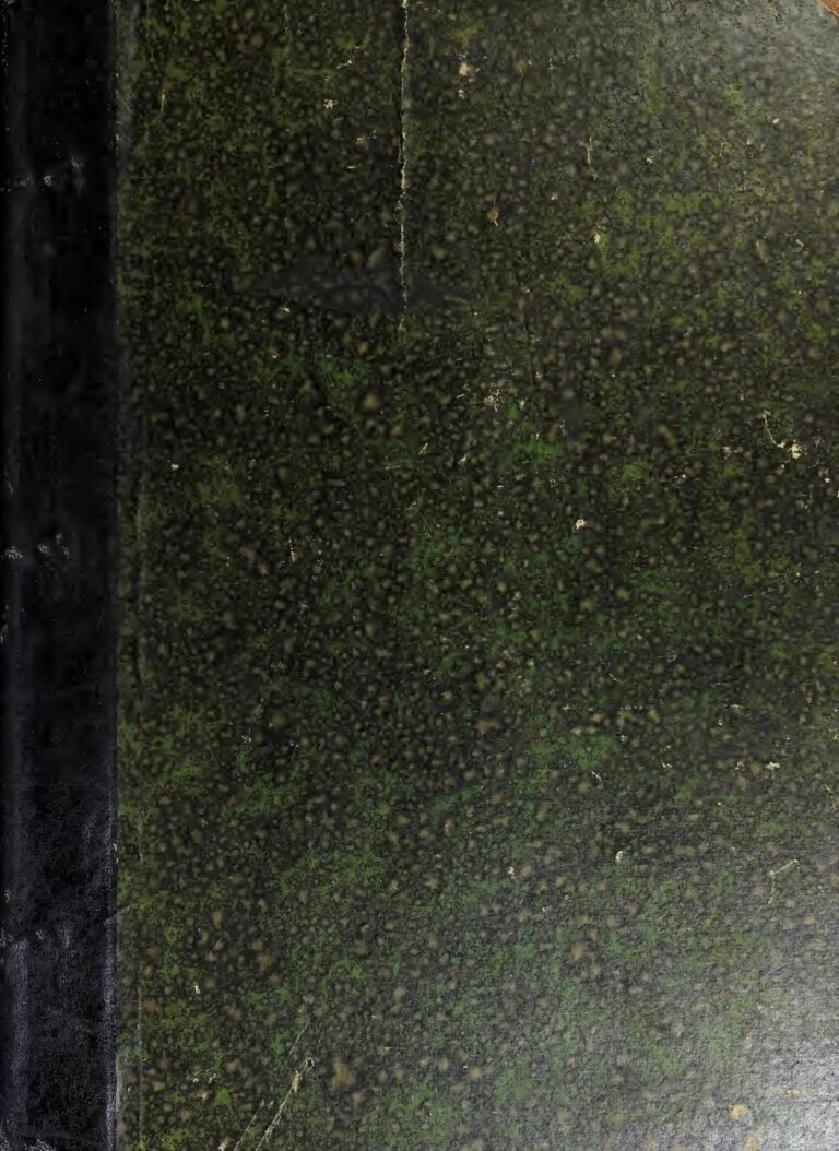 PHOTO – Aïcha Trembler dévoile une part méconnue de sa vie