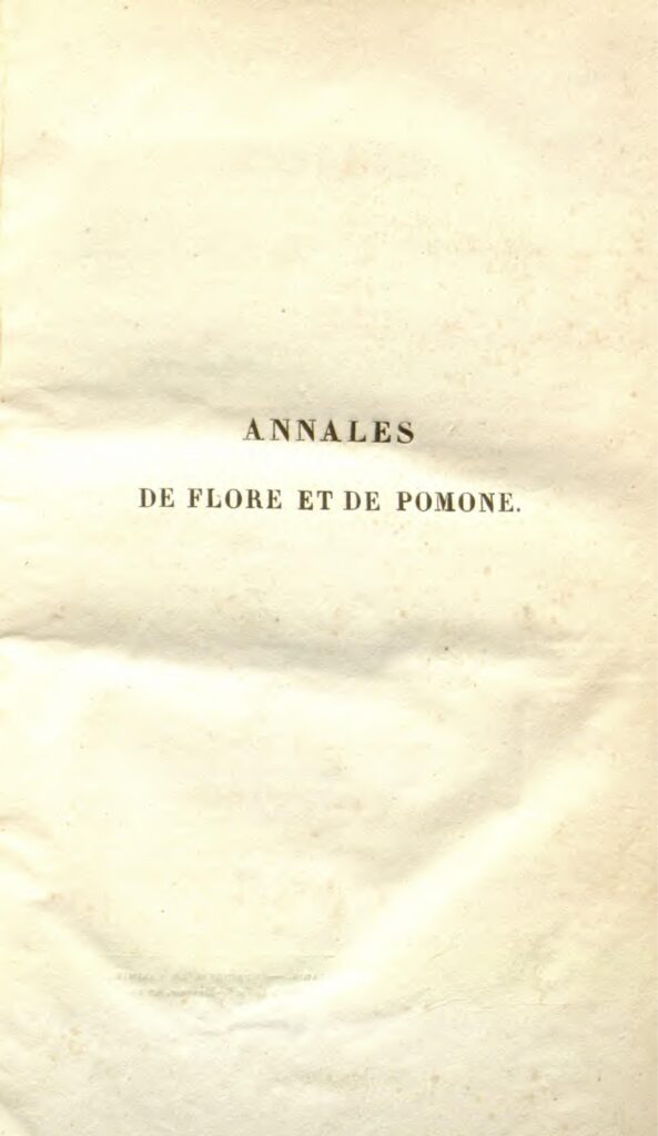 Tout savoir sur la technologie eSIM