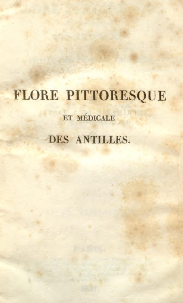 L&rsquo;autopsie des victimes de l&rsquo;attaque du bus sera publiée aujourd&rsquo;hui