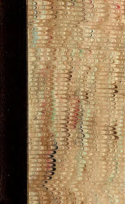 Inde: Un homme abattu pour avoir jeté des pierres sur un chien