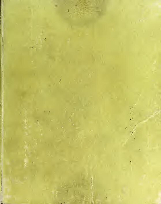 Offres de forfaits mobiles 5G abordables en août 2023 : les choix les plus avantageux