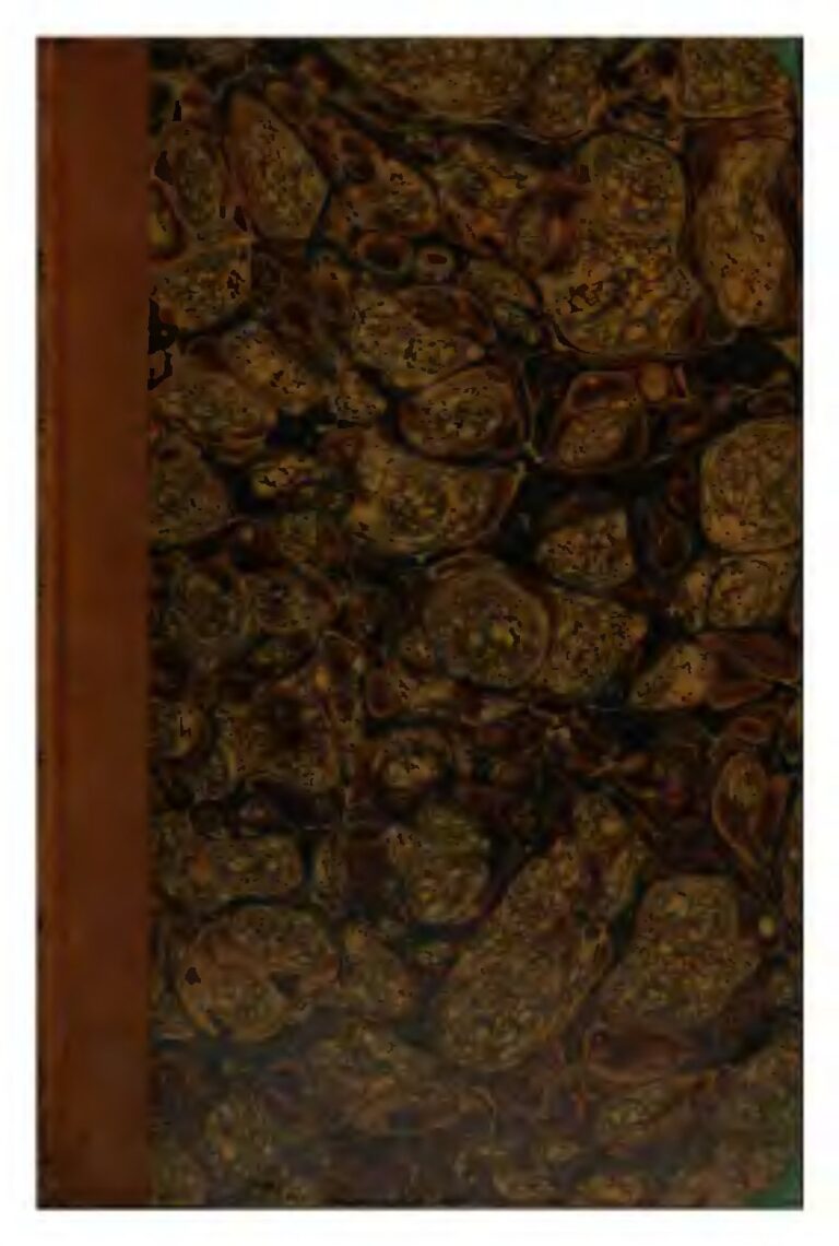 Un chinois à la tête de la FAO