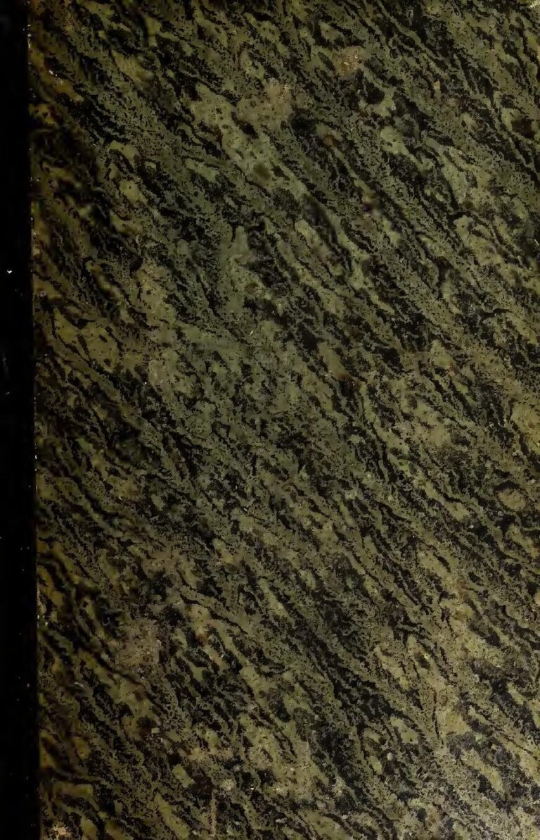 Thierry Henry devient le nouvel entraîneur de l&rsquo;équipe de France Espoirs