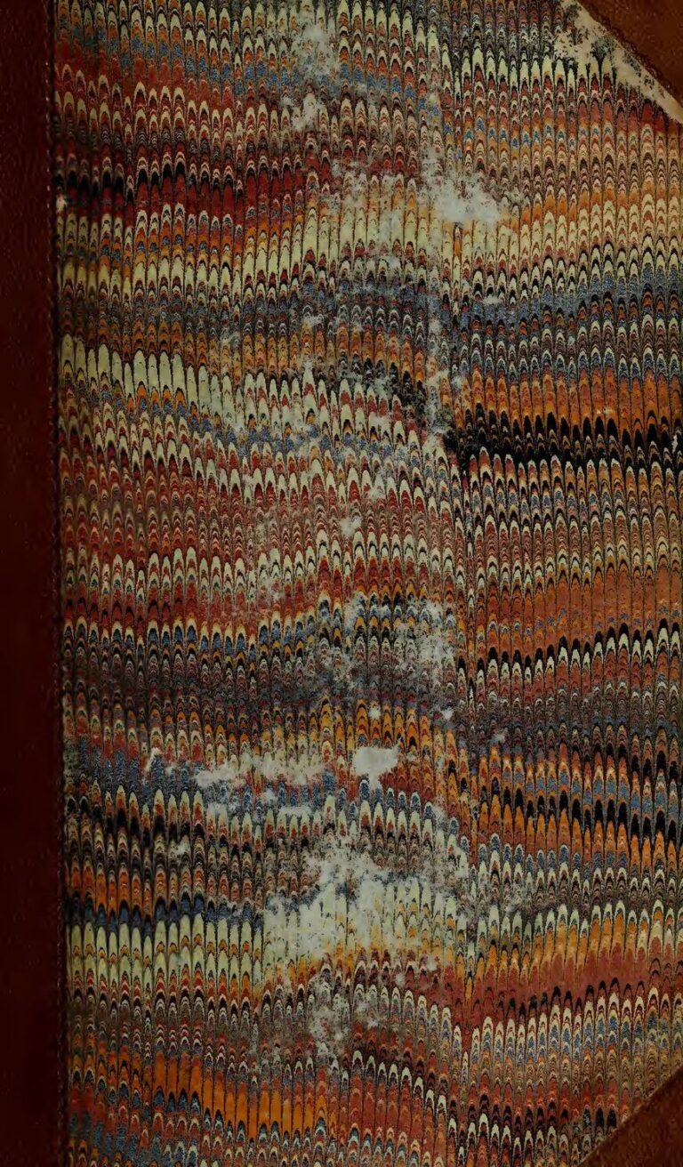 Le gars qui avait piétiné le coran revient avec une autre vidéo