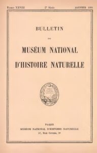 Cameroun : Est-ce que cette Lionne Indomptable a révélé son homosexualité ? Une révélation choquante en ligne.