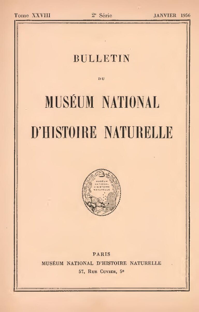 Indonésie: Plus de 90 morts et des centaines de blessés après un tremblement de terre