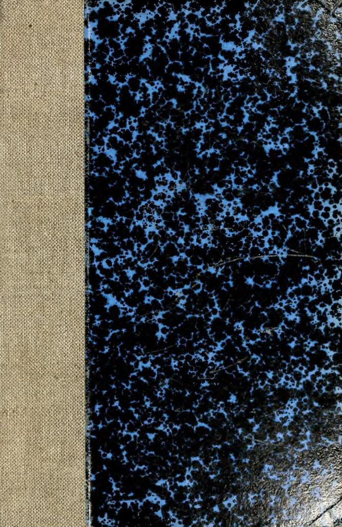 La Ligue 1, le Bouquet Famille et Amazon Prime : tout cela pour seulement 13,99€/mois