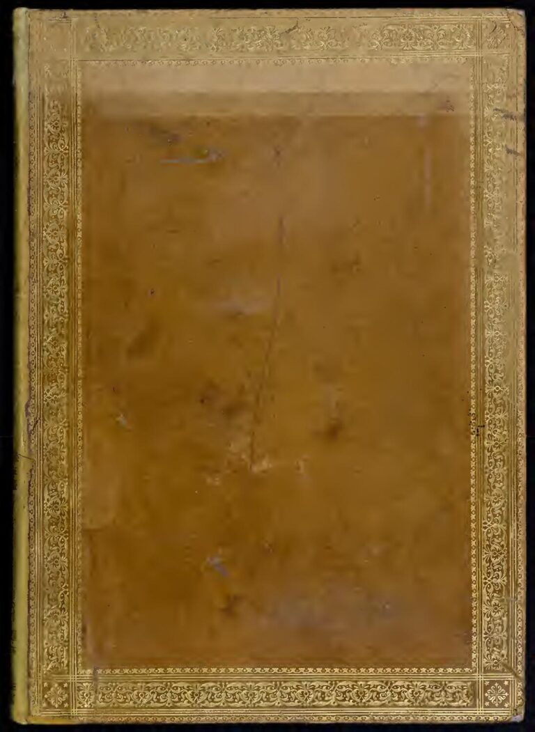 People : Entre beauté, suavité et intellect, voici pourquoi la nouvelle épouse d’Amed Sylla met la toile d’accord !