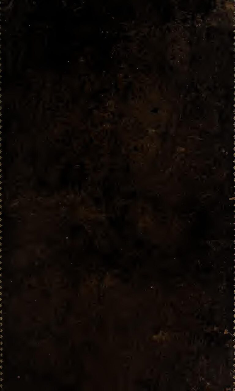 Coup d&rsquo;Etat au Gabon : Pourquoi Creol a soutenu Ali Bongo ?