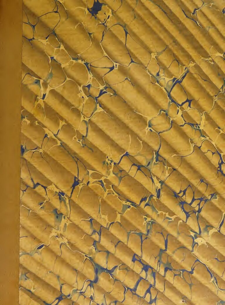 CAN 2019 : Le capitaine des Eléphants de Côte d’Ivoire signe son retour contre le Mali