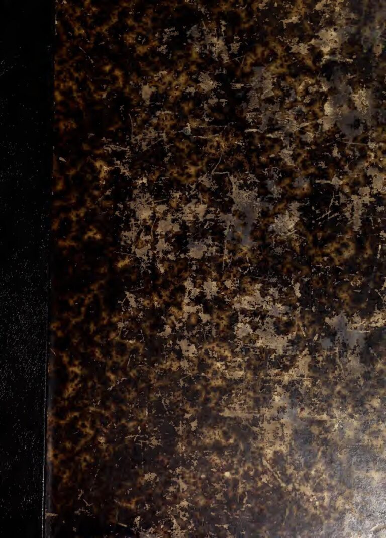 05 photos- Les clichés qui prouvent qu’Abiba n’est plus une jeune fille