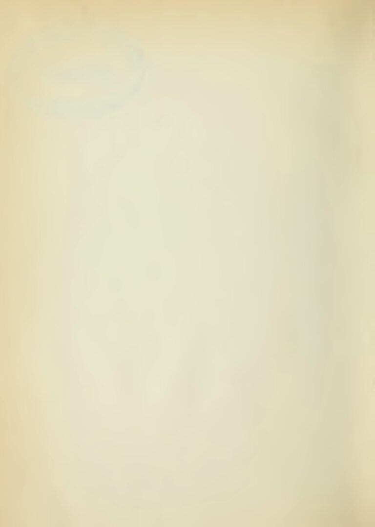 Le nouvel entraineur de l’Allemagne désormais connu !