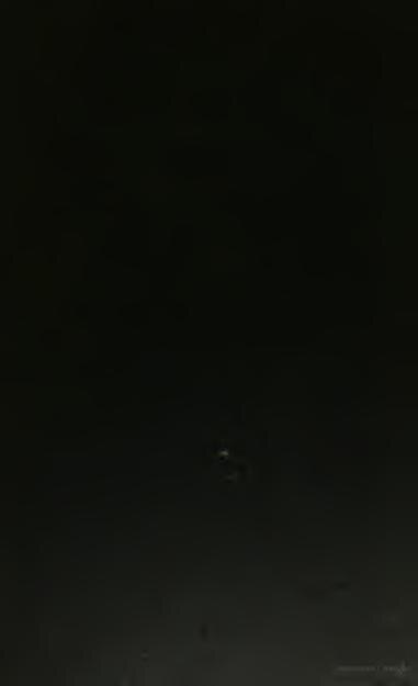 Will Smith : Le célèbre acteur devient un véritable athlète (PHOTO)