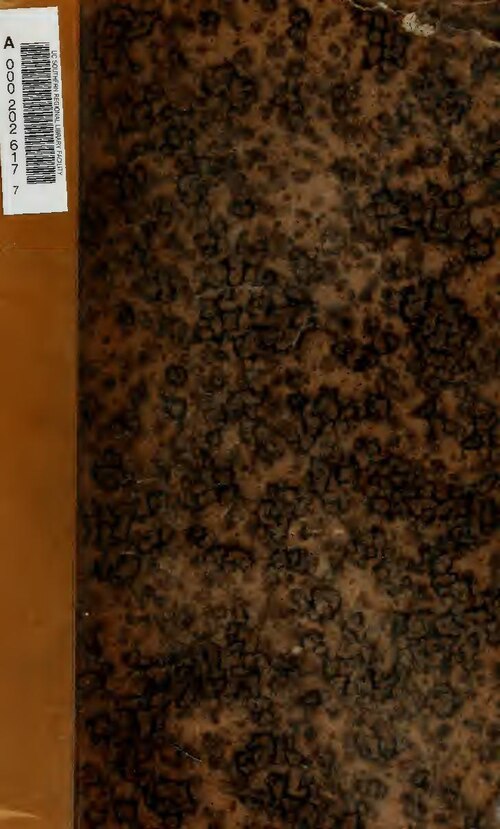 France : Un bandit se faisant passer pour un pasteur et qui voyageait sans titre de transport a été pourchassé dans le RER