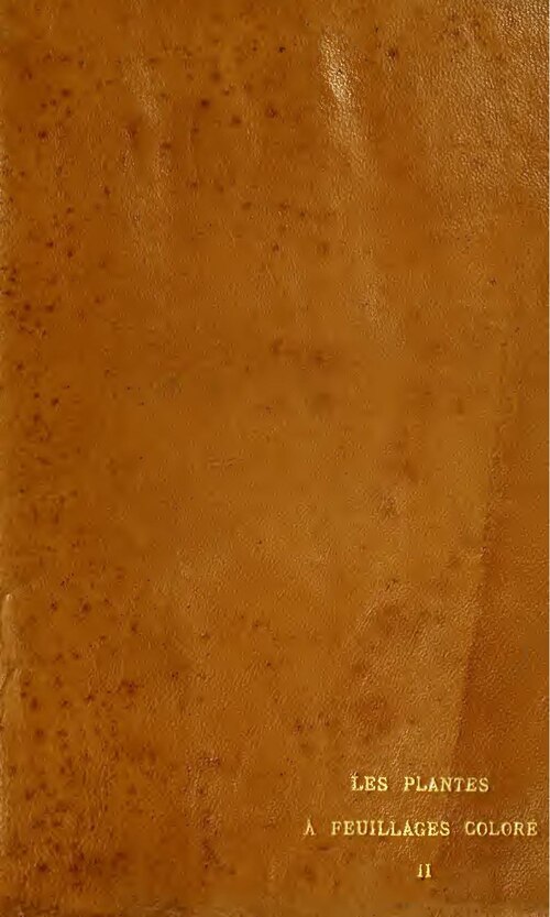 Bénin : Une dizaine d’établissements ont eu 0 % au BAC