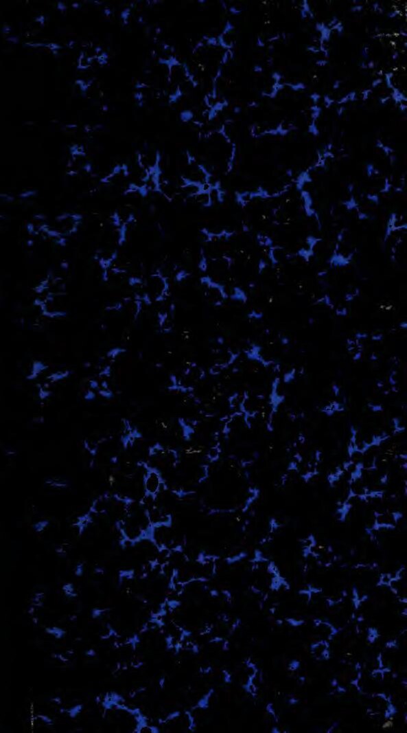 Pays-Bas : 11 bébés décédés après une étude sur la consommation du viagra pendant la grossesse