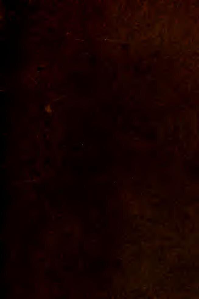 Gérard Piqué coupable de fraude fiscale, voici la décision de la justice