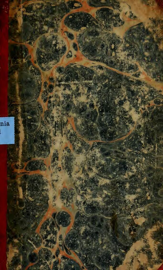 Ce célèbre joueur a décidé de mettre un terme à sa carrière internationale